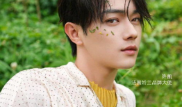 吃瓜娱乐圈丁禹兮,娱乐圈的瓜田新秀，星光熠熠的蜕变之路